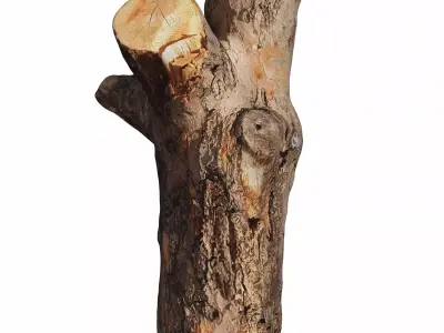 trunk 102 3D model