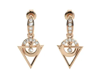 Light wt Women Diamond Earrings  3D print model