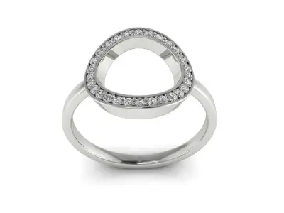 Ring 102 3D print model