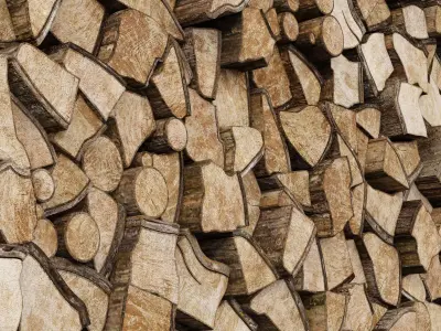 Firewood decor n4 3D model