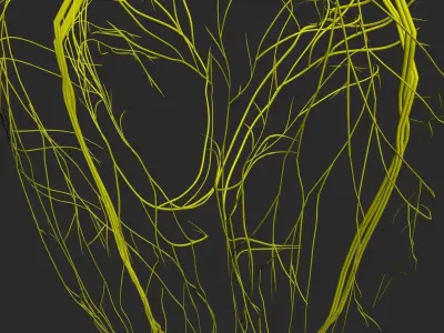 Male Central Nervous System With Skeleton 3DSmax 3D model