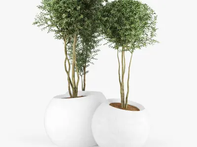 CONTEMPORARY ESFERA 3D model