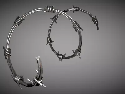 Rusty Wire and Metallic Wire 3D model