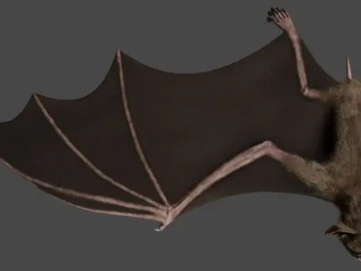 Vampire Bat ANIMATED 3D model