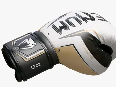  Boxing Punch Gloves Collection(1) 