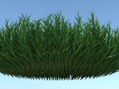 Fine Fescues 3D model