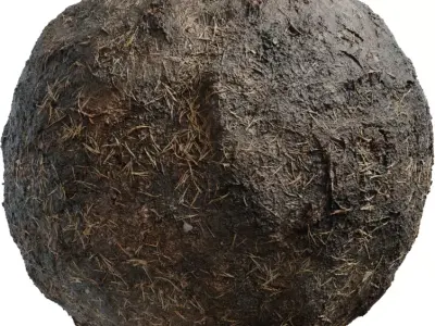 Wet Barnyard Mud with Straw Texture