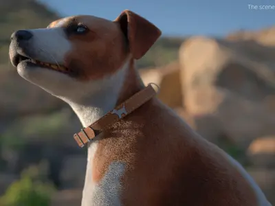  Jack Russell Terrier Fur Rigged For Blender Animated Set 