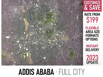 Addis Ababa - 3D City Model Low-poly 3D model