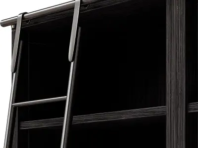 Admont Double Bookcase With Ladder 3D model