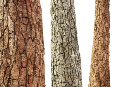 Bark 01 - Seamless Texture