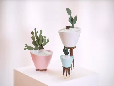 Decorative vases set with cactus HG2 3D model