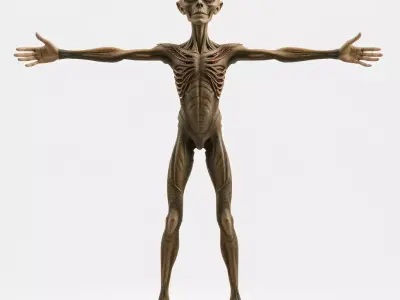 Alien Skeletal Figure model pack Low-poly 3D model