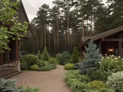 Plants Collection 1 3D model