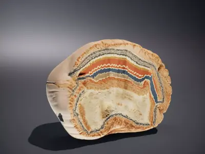 Marbled Wood Texture model pack Texture