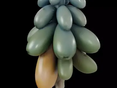 Realistic Hanging Papayas 3D model