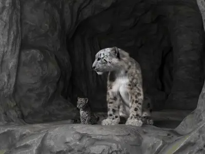  Snow Leopard Mother and Calf in Cave Habitat Fur 