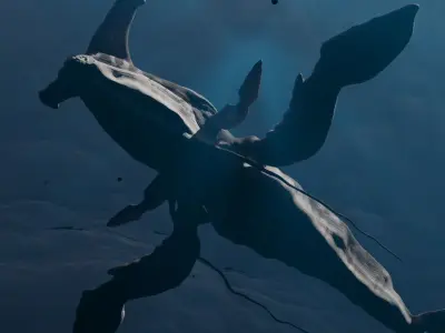 Tulkun from Avatar Rigged 3D Model Low-poly 3D model