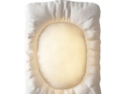 Tacchini Lunar Fabric 3D model