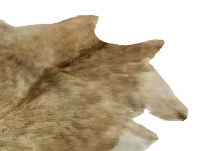 European Rug Cowhide 13 3D model