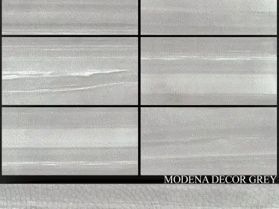 Fiore Modena Decor Grey 3D model