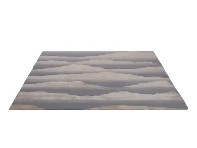 Olympus RUG 3D model