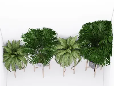 Palm and fern corner 3D model