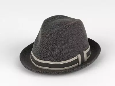 Hat 1 fedora 3D model