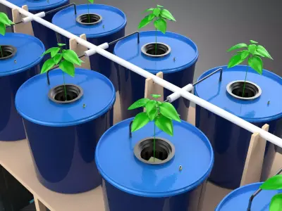 BATO CULTIVATION FRUITS VEGETABLES PLANT HYDROPONIC FARM GARDEN 3D model