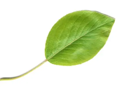 Loft interior 3D model