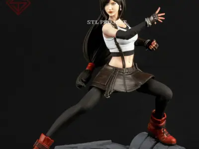 Tifa Lockhart 3D print model