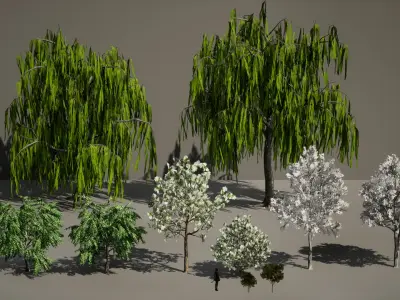 PREMIUM PLANT PACK - 10 realistic Korean Street Tree Pack 02 3D model