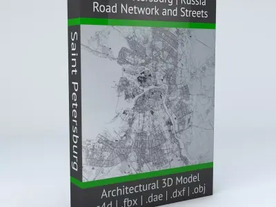 Saint Petersburg Road Network and Streets 3D model