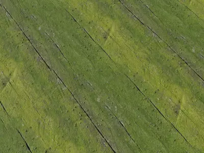 Mossy Weathered Plaster Wall PBR Texture 4K Texture