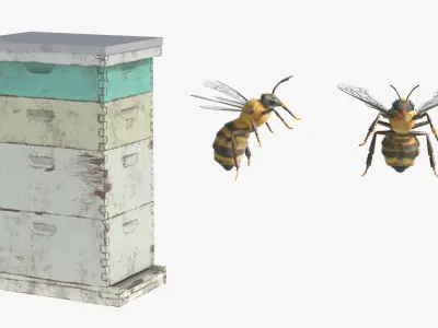  Dark Brown Bear Raiding Beehive Fur 