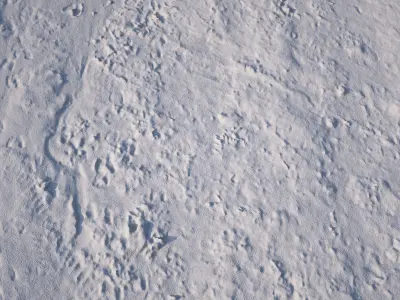 Dirt Road 3D Scan Low-poly 3D model