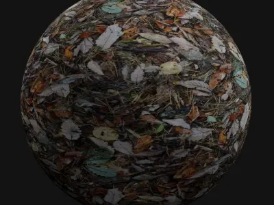 Forest Floor Seamless Material Texture