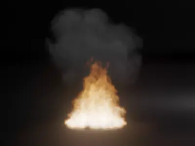 Fire Simulation 3D model