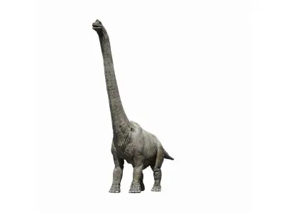  Brachiosaurus Rigged 3D 