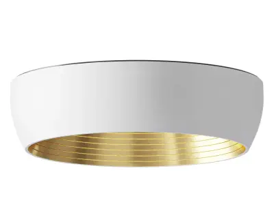 AFX Duncan Ceiling Light 3D model
