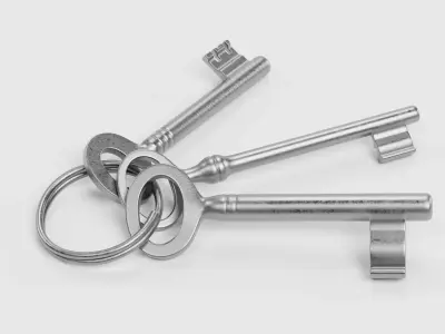 Set of New Keys - 3 Unique Skeleton Keys on Keychain Ring 3D model