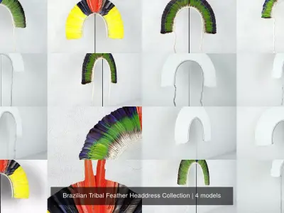 Brazilian Tribal Feather Headdress Collection 3D Model Pack