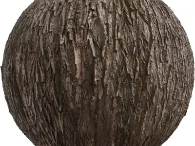 Realistic Tree Bark  Texture