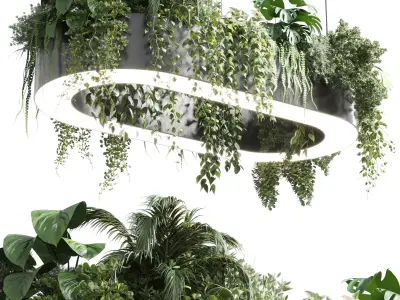 pot light - pendant plant light hanging 05 3D model