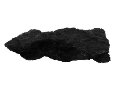 Sheepskin Area Rug 3D model