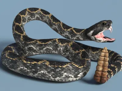  Rattlesnake Attack Animated Rigged 