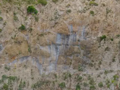 Mountain Cliff Side Bush Photoscan PBR Low-poly 3D model