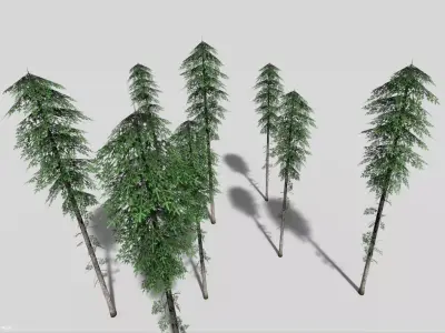 tall pine tree Low-poly 3D model