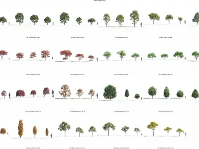 Maxtree Plant Models Vol 26 - Mesh 3D model