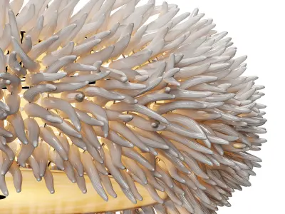 Schuller xenia 58 1623 chandelier 3D model